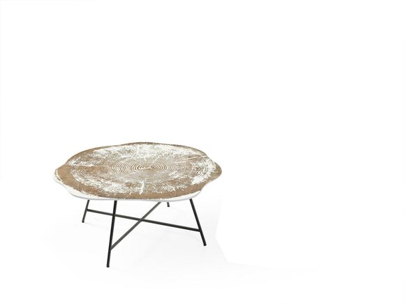 Artikel Bild