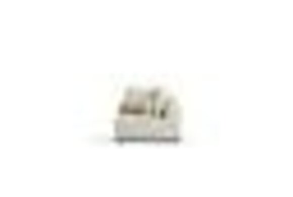 Artikel Bild