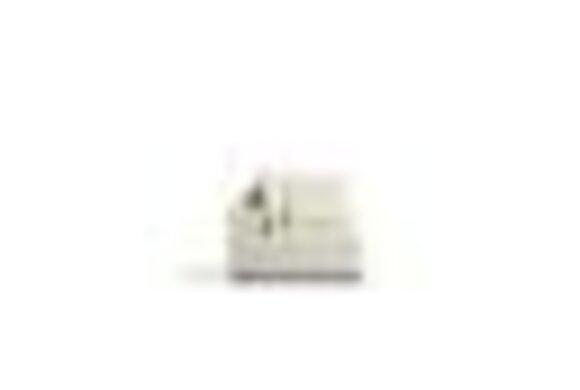 Artikel Bild